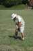 crossgolf08punta7_small.jpg